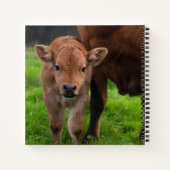 最も可愛い赤ん坊の動物 |牛と子牛 ノートブック (裏面)