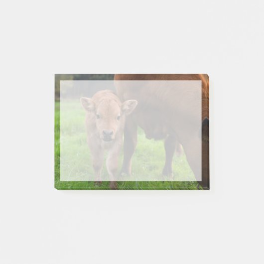最も可愛い赤ん坊の動物 |牛と子牛 ポストイット (正面)