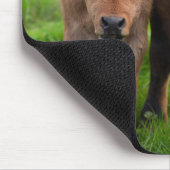 最も可愛い赤ん坊の動物 |牛と子牛 マウスパッド (コーナー)