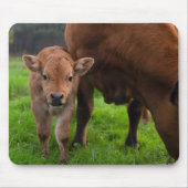 最も可愛い赤ん坊の動物 |牛と子牛 マウスパッド (正面)