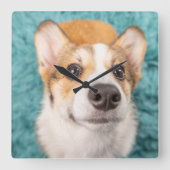 最も可愛い赤ん坊の動物 |甘いコーギパピー顔 スクエア壁時計 (正面)