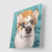 最も可愛い赤ん坊の動物 |甘いコーギパピー顔 スクエア壁時計 (傾斜)