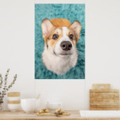 最も可愛い赤ん坊の動物 |甘いコーギパピー顔 ポスター (キッチン)