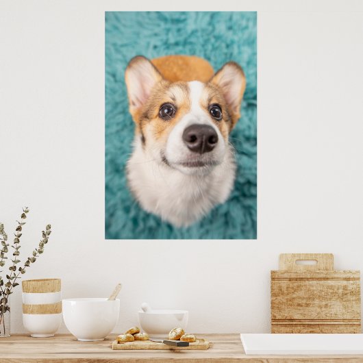 最も可愛い赤ん坊の動物 |甘いコーギパピー顔 ポスター (キッチン)