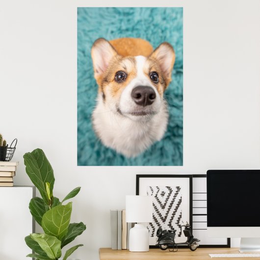 最も可愛い赤ん坊の動物 |甘いコーギパピー顔 ポスター (ホームオフィス)