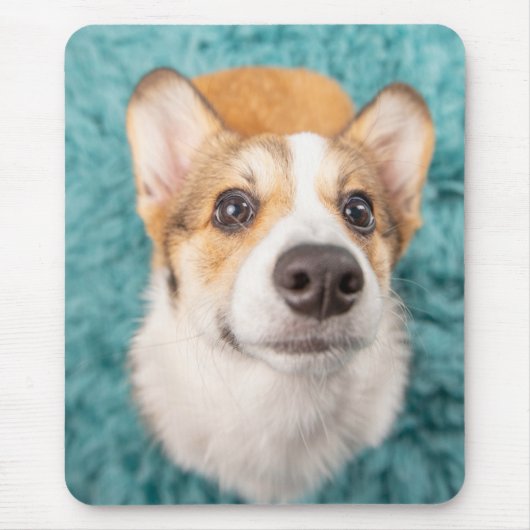 最も可愛い赤ん坊の動物 |甘いコーギパピー顔 マウスパッド (正面)