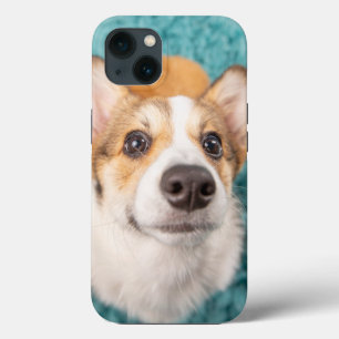 最も可愛い赤ん坊の動物 甘いコーギパピー顔 iPhone 13ケース