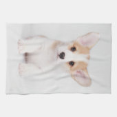 最も可愛い赤ん坊の動物 |白いコーギの子犬 キッチンタオル (横)