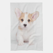 最も可愛い赤ん坊の動物 |白いコーギの子犬 キッチンタオル (縦)