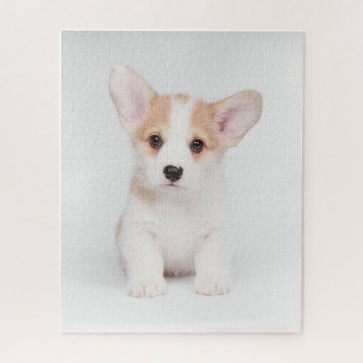 最も可愛い赤ん坊の動物 |白いコーギの子犬 ジグソーパズル (縦)