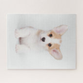 最も可愛い赤ん坊の動物 |白いコーギの子犬 ジグソーパズル (横)