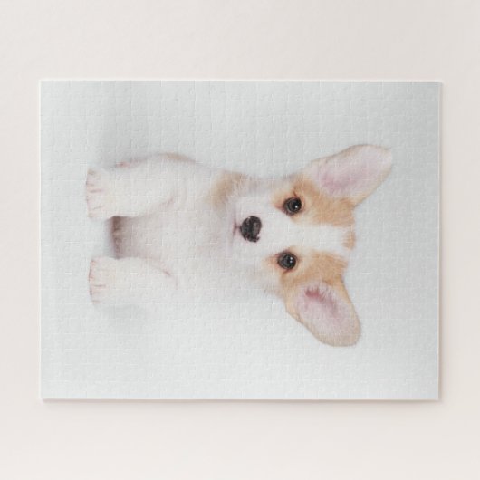 最も可愛い赤ん坊の動物 |白いコーギの子犬 ジグソーパズル (横)