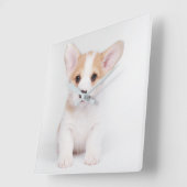 最も可愛い赤ん坊の動物 |白いコーギの子犬 スクエア壁時計 (傾斜)