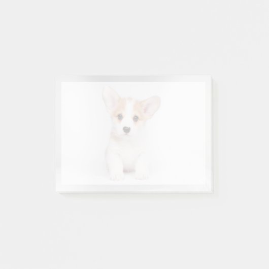 最も可愛い赤ん坊の動物 |白いコーギの子犬 ポストイット (正面)