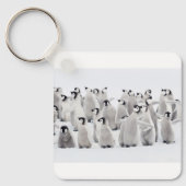最も可愛い赤ん坊の動物 皇帝ペンギンの雛| キーホルダー (正面)
