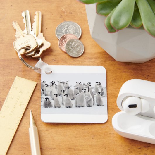 最も可愛い赤ん坊の動物 皇帝ペンギンの雛| キーホルダー (デスク)