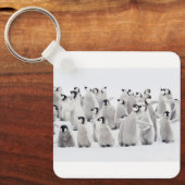 最も可愛い赤ん坊の動物 皇帝ペンギンの雛| キーホルダー (正面)