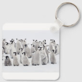 最も可愛い赤ん坊の動物 皇帝ペンギンの雛| キーホルダー (裏面)
