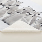 最も可愛い赤ん坊の動物 皇帝ペンギンの雛| シェルパブランケット (3/4)