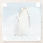 最も可愛い赤ん坊の動物 皇帝ペンギン・シック| ガラスコースター (裏面)