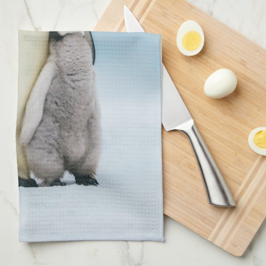 最も可愛い赤ん坊の動物 皇帝ペンギン・シック| キッチンタオル (四つ折り)