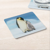 最も可愛い赤ん坊の動物 皇帝ペンギン・シック| スクエアペーパーコースター (アングル)