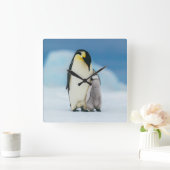 最も可愛い赤ん坊の動物 皇帝ペンギン・シック| スクエア壁時計 (ホーム)