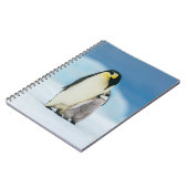 最も可愛い赤ん坊の動物 皇帝ペンギン・シック| ノートブック (左側)