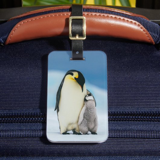 最も可愛い赤ん坊の動物 皇帝ペンギン・シック| ラゲッジタグ (正面インサイチュ2)