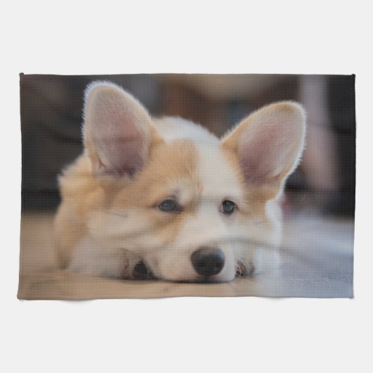最も可愛い赤ん坊の動物 |眠いコギの子犬 キッチンタオル (横)