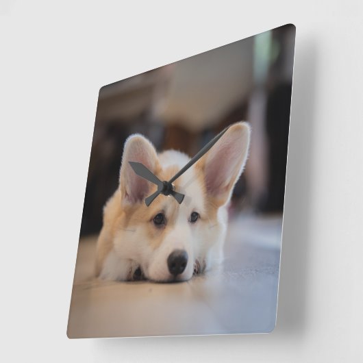 最も可愛い赤ん坊の動物 |眠いコギの子犬 スクエア壁時計 (傾斜)