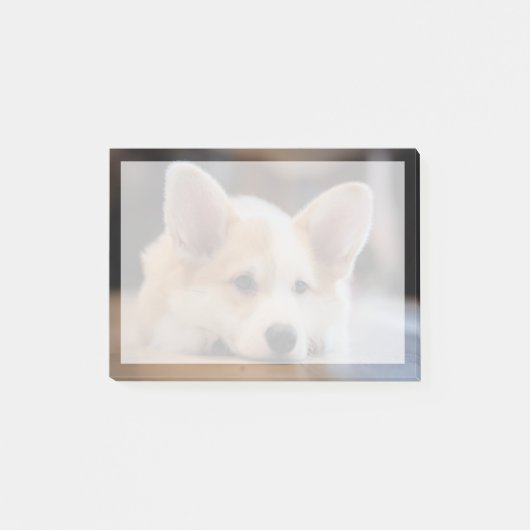最も可愛い赤ん坊の動物 |眠いコギの子犬 ポストイット (正面)
