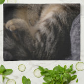 最も可愛い赤ん坊の動物 |眠れるタビー猫 キッチンタオル (折り畳み)
