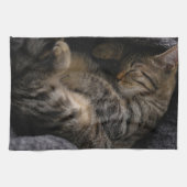 最も可愛い赤ん坊の動物 |眠れるタビー猫 キッチンタオル (横)