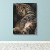 最も可愛い赤ん坊の動物 |眠れるタビー猫 キャンバスプリント (インサイチュ (ウッドフロア))