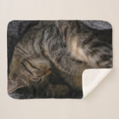 最も可愛い赤ん坊の動物 |眠れるタビー猫 シェルパブランケット (正面(横))