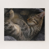 最も可愛い赤ん坊の動物 |眠れるタビー猫 ジグソーパズル (横)