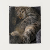 最も可愛い赤ん坊の動物 |眠れるタビー猫 タペストリー (正面)