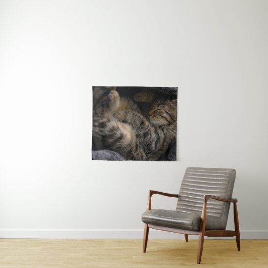 最も可愛い赤ん坊の動物 |眠れるタビー猫 タペストリー (インサイチュ(横))