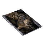 最も可愛い赤ん坊の動物 |眠れるタビー猫 ノートブック (右側)