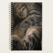 最も可愛い赤ん坊の動物 |眠れるタビー猫 プランナー手帳 (正面)