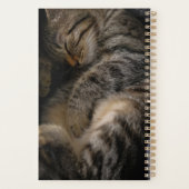 最も可愛い赤ん坊の動物 |眠れるタビー猫 プランナー手帳 (裏面)