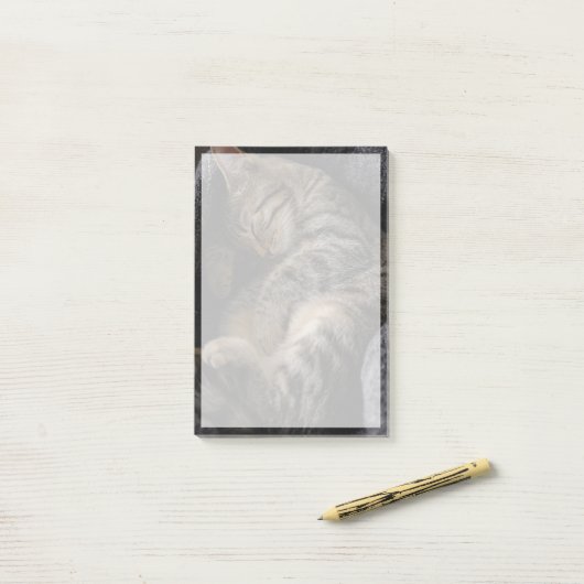 最も可愛い赤ん坊の動物 |眠れるタビー猫 ポストイット (デスク上)