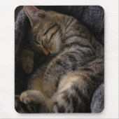 最も可愛い赤ん坊の動物 |眠れるタビー猫 マウスパッド (正面)