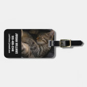 最も可愛い赤ん坊の動物 |眠れるタビー猫 ラゲッジタグ (正面横)