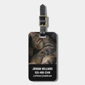 最も可愛い赤ん坊の動物 |眠れるタビー猫 ラゲッジタグ (正面縦)