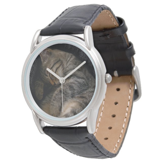 最も可愛い赤ん坊の動物 |眠れるタビー猫 腕時計 (アングル)