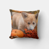 最も可愛い赤ん坊の動物 秋のコギの子犬 クッション (正面)