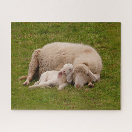 最も可愛い赤ん坊の動物 |笑顔の眠る子羊 ジグソーパズル (横)