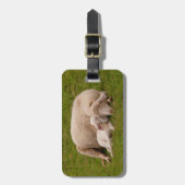 最も可愛い赤ん坊の動物 |笑顔の眠る子羊 ラゲッジタグ (正面縦)